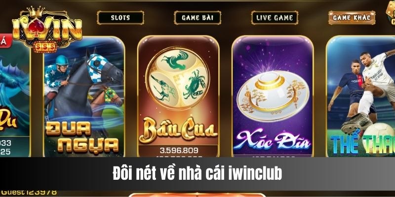 Đôi nét về nhà cái iwinclub